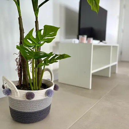 Apartment Aurora Abode